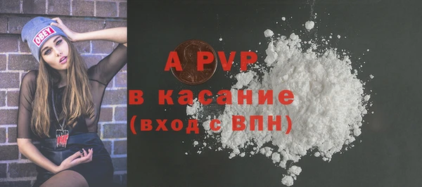 гашик Кулебаки