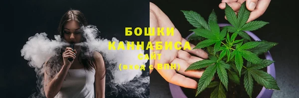 гашик Кулебаки