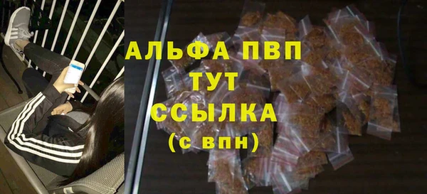 spice Корсаков