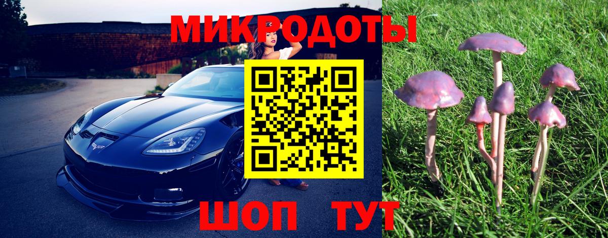 Галлюциногенные грибы Magic Shrooms  Вход с VPN  Псилоцибиновые грибы Psilocybine cubensis  Можайск 
