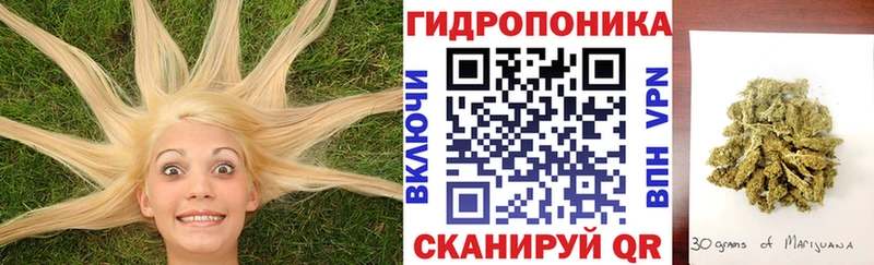 Каннабис план  купить наркоту  Можайск 